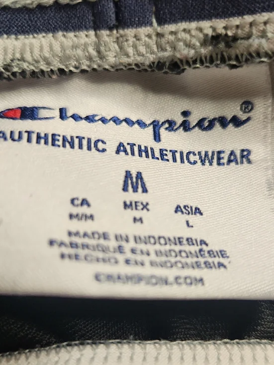 Vintage Champion Black Women's Athletic Mesh Shorts - Picture 6 of 10